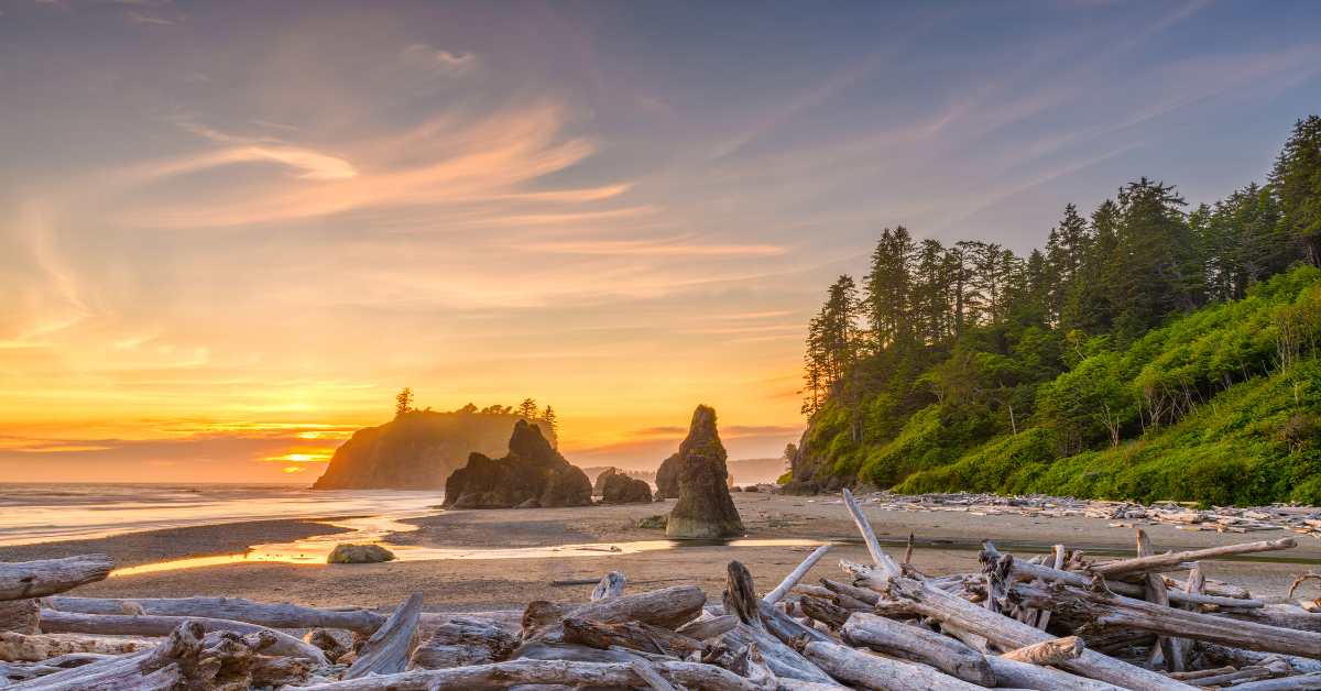 Olympic National Park coastal image