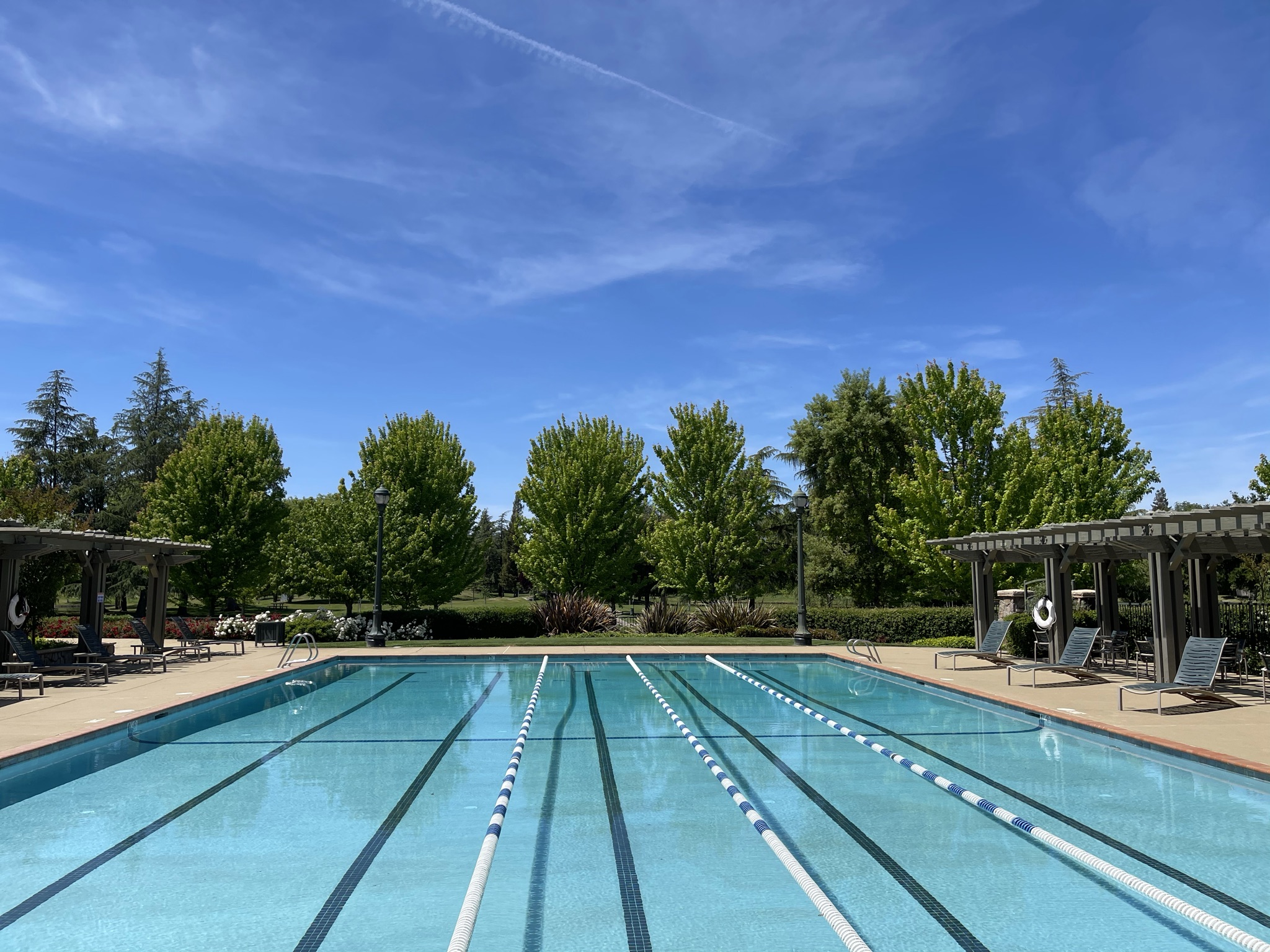 A swimming pool with trees in the background.