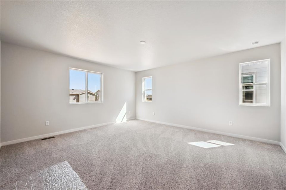 A room with a carpet and windows.