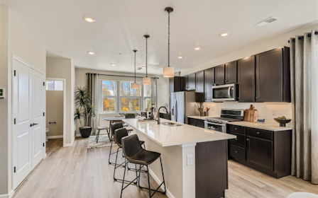 A kitchen with black cabinets.