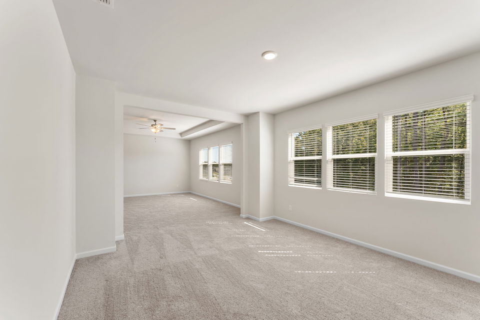 A room with a carpet and windows.