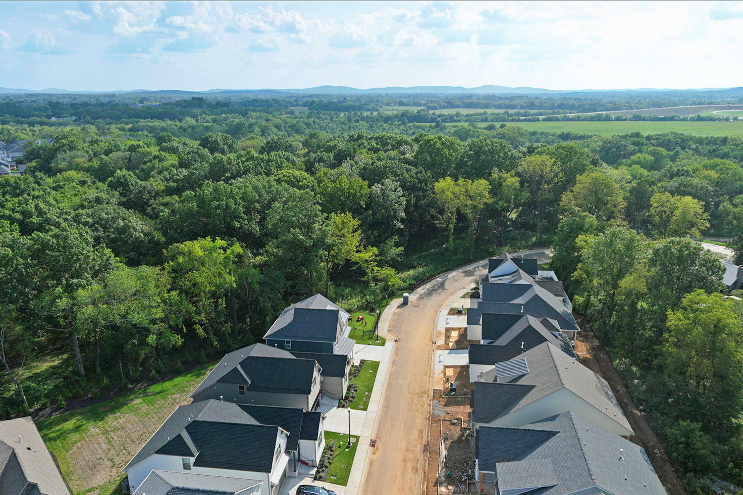 A group of houses surrounded by trees.