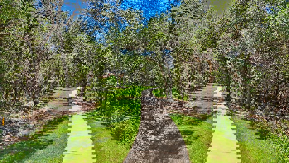 A path through a park.