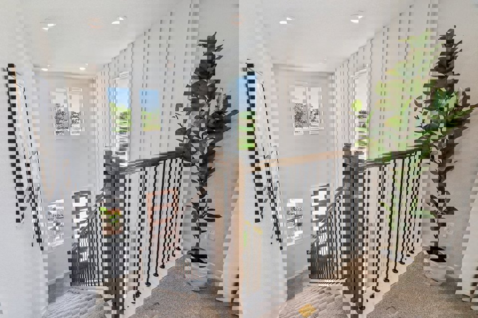 A room with a plant and a railing.