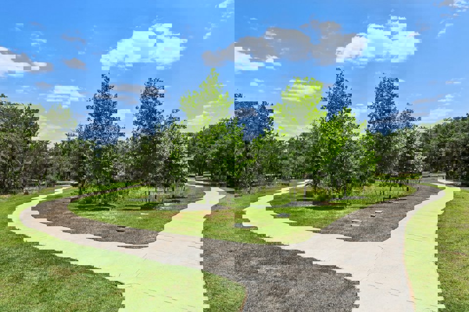 A path with grass and trees on the side.