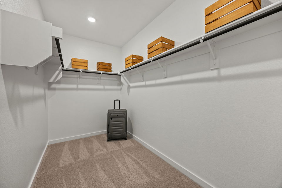 A room with shelves and a suitcase.