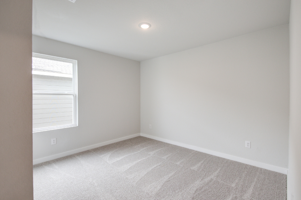 A room with a carpet and a window.