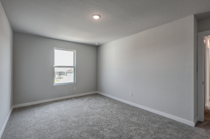 A room with a carpet and windows.