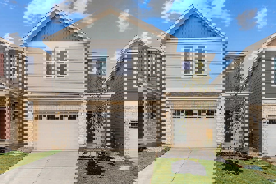 7363 teal trace-01 - 4.1.25