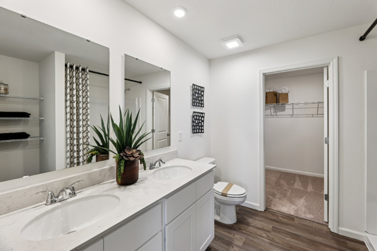A bathroom with a sink toilet and a mirror.