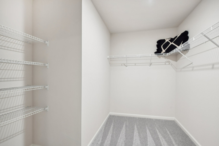 A panda bear on a shelf.