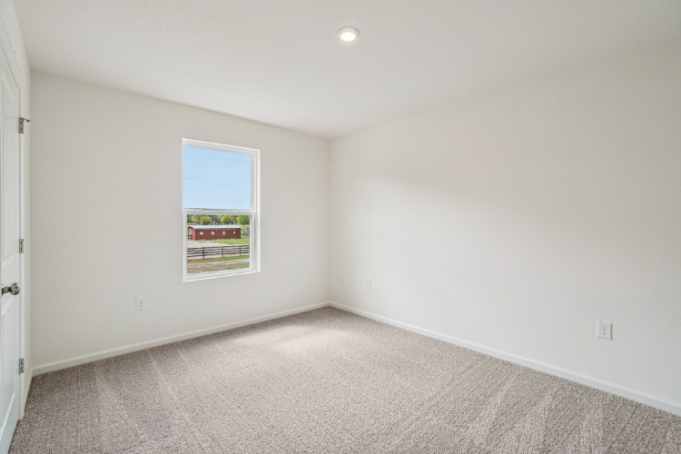 A room with a window and a carpet.